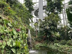 -郑州植物园
