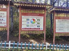 -香炉山国家森林公园