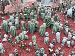 -南通洲际绿博园