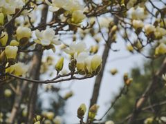 -秦始皇帝陵博物院-丽山园