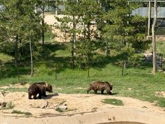 -青藏高原野生动物园