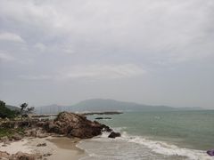 -杨梅坑