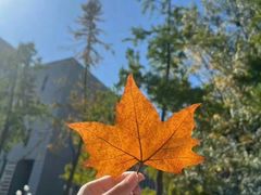 -魏四小鱼锅贴王