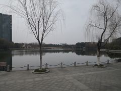 -杭州城北体育公园