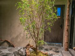 -森SPA·泰式按摩·精油Massage(宝安中心店)