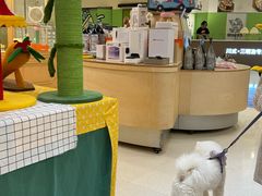 -帕帕拉兹宠物(亚洲旗舰店)