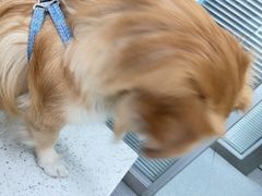 -心仪动物医院·牙专科·肿瘤·心脏科(西客站院)