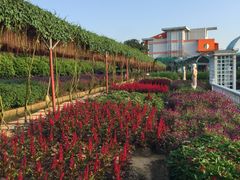 -广州花之恋城堡酒店