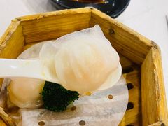 -金满楼(天河中路店)