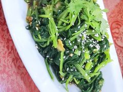 毛蚶子拌菠菜-叶存利海鲜大馅饺子(海宁路总店)