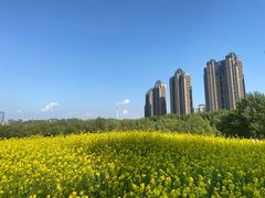 -长白岛森林公园