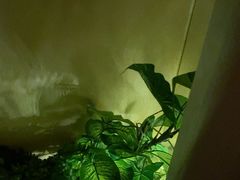 -黄金海岸水疗会所(凯利宾馆店)