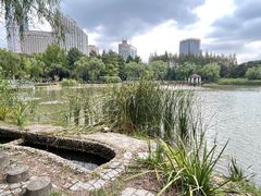-新虹桥中心花园