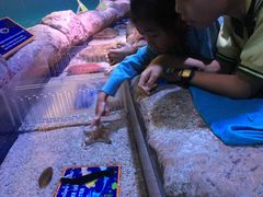 -暹罗海洋世界