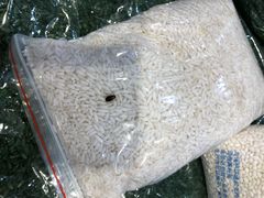 -BHG生活超市(安贞店)