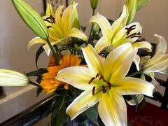 -莱仪堂艾灸经络养生馆(宜川路店)