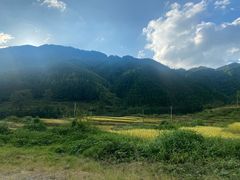 -长洲岛