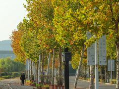 -济南国际园博园