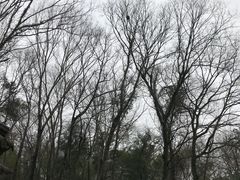 -玉女潭景区