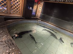 -胖姐渔村(中源大道店)