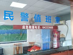 -虎啸峡漂流
