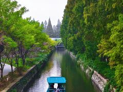 -水杉园