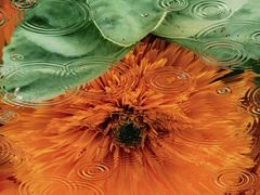 -小五台金河景区