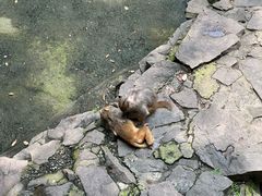 -杭州动物园