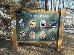 -青藏高原野生动物园
