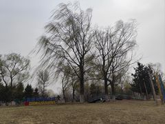 -莫子山公园