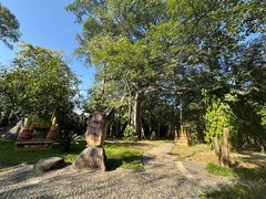 -瑞丽独树成林风景区