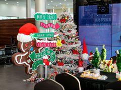 -奔驰利星行(北京花乡店)