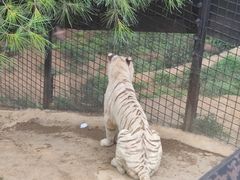 -云南野生动物园