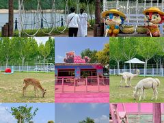 -渔岛海洋度假区