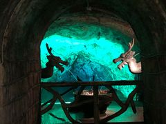 -青岛葡萄酒博物馆