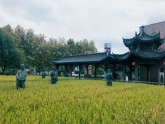 -证大喜玛拉雅中心