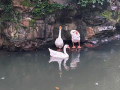 -兰亭风景区