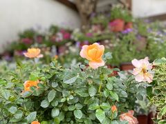 -茅山东方盐湖城景区