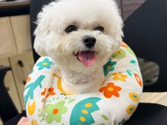 -美联众合动物医院·24h转诊中心