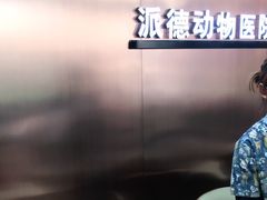 -pd派德宠物中心医院24H急重症·眼科中心·血液透析中心(嵩山北路店)