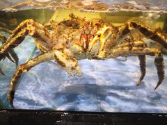 -海天一色海景自助餐厅(西港花园店)