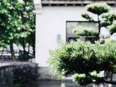 -宁波柏悦酒店·钱湖渔港