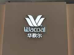 -大商麦凯乐(大连总店)
