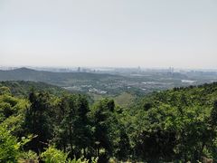 -旺山景区