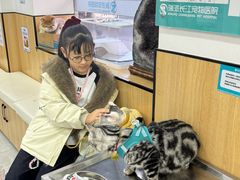 -瑞派长江宠物医院·猫科·外科·24小时夜护(谊城公寓分院)