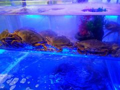 -兄弟爬爬虾(北京路店)