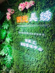 -西施无菌半永久纹绣眉眼影唇轻增发纹发际线