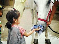 -月河湾马术俱乐部(朝阳店)