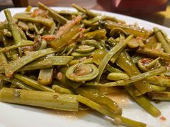 炒蕨菜-金苑酒家·客家菜·广东老字号(万象店)