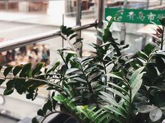 -青岛市图书馆